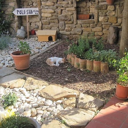 Rosandra Bed & Breakfast San Dorligo della Valle Luaran gambar