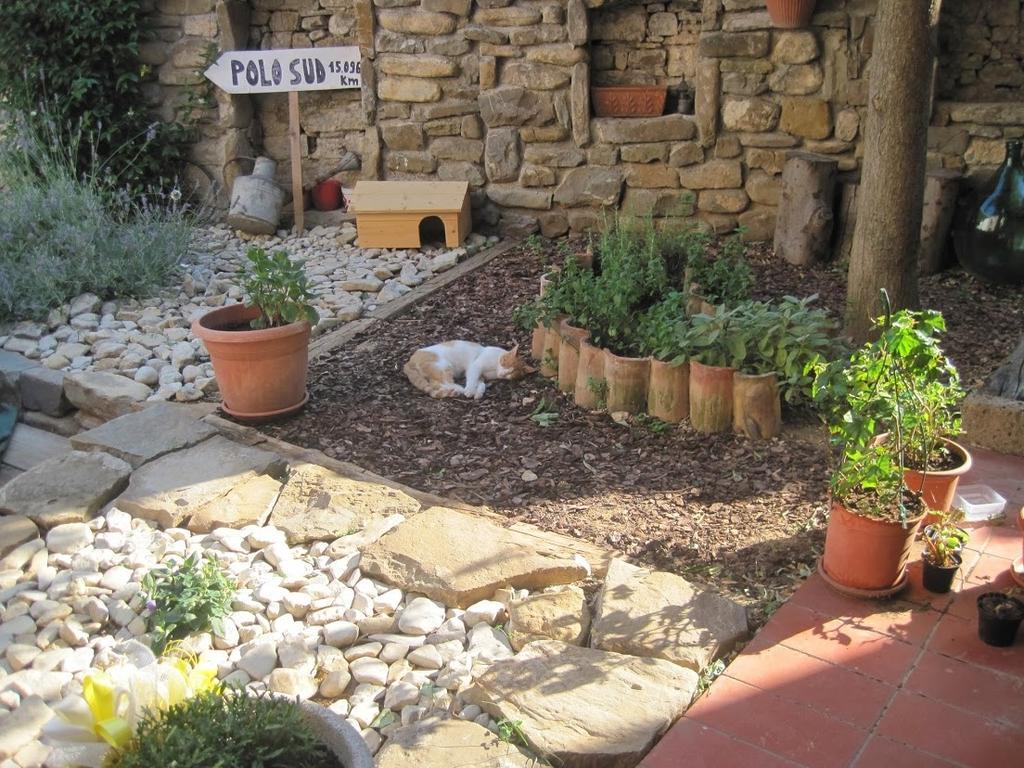 Rosandra Bed & Breakfast San Dorligo della Valle Luaran gambar