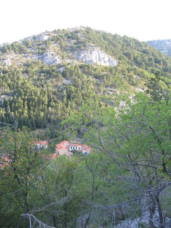 Rosandra Bed & Breakfast San Dorligo della Valle Luaran gambar